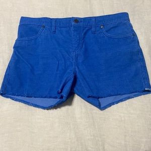 Carve Designs Dogtown 4” Shorts